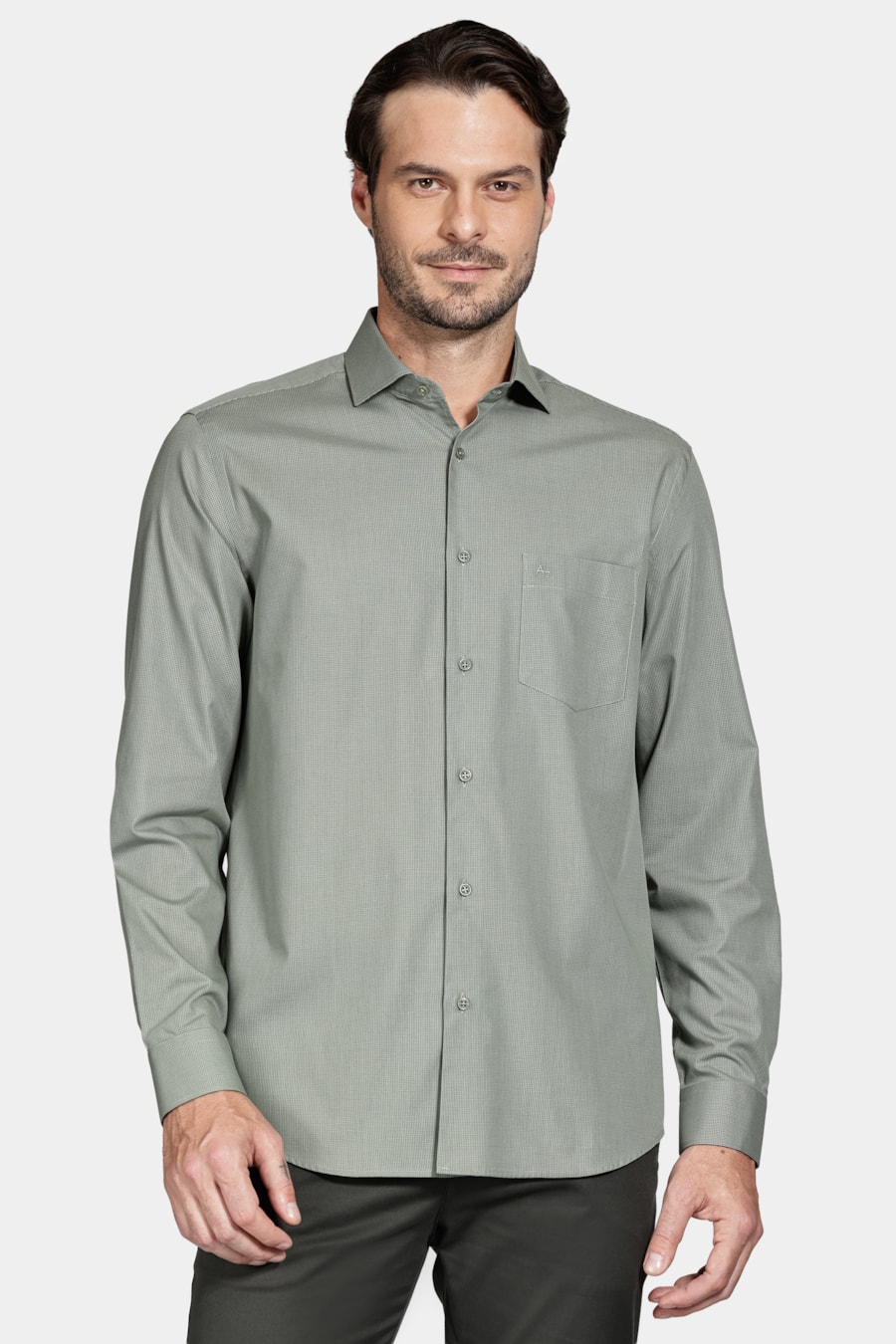 Camisa Algodão Regular Manga Longa Xadrez Cacto C/ Verde — foto 1 de 6