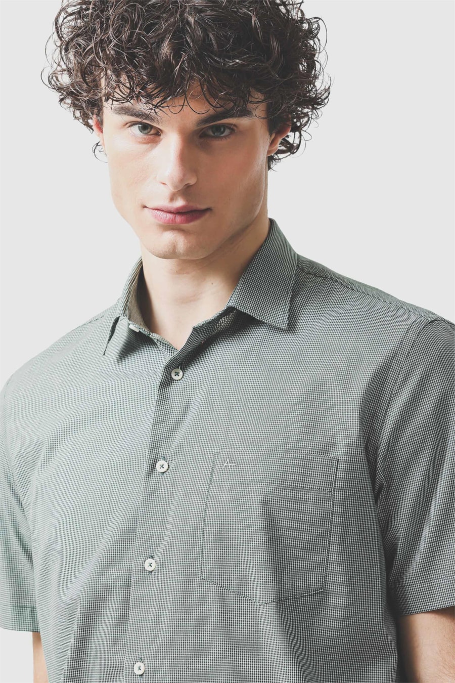 Camisa Manga Curta Regular Algodão Micro Xadrez Verde Escuro C/ Branco — foto 3 de 6