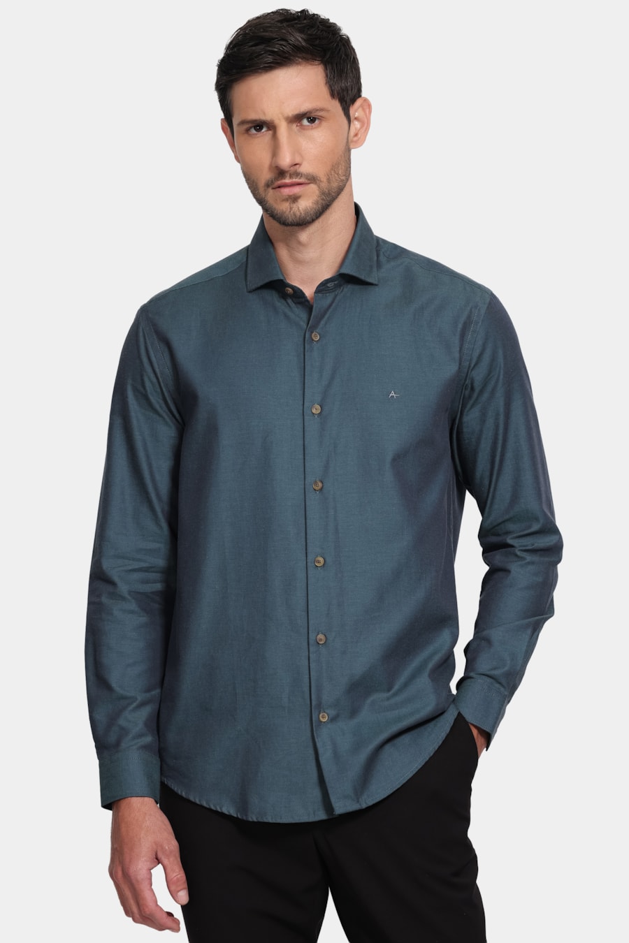 Camisa Manga Longa Regular Algodão Lisa Pinpoint Verde Escuro — foto 1 de 6