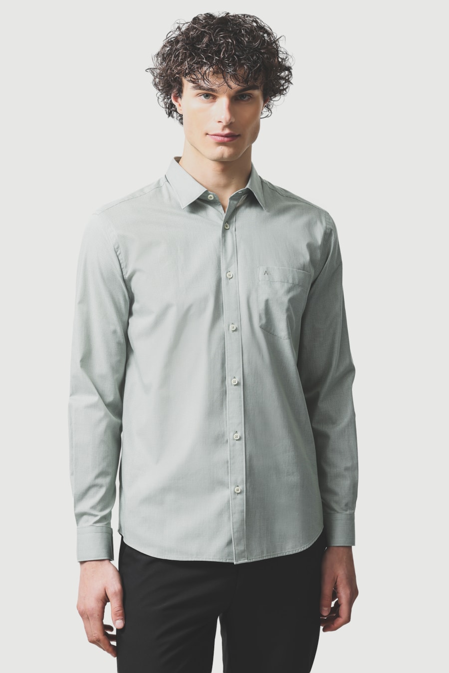 Camisa Manga Longa Regular Algodão Micro Xadrez Verde C/ Branco — foto 1 de 6