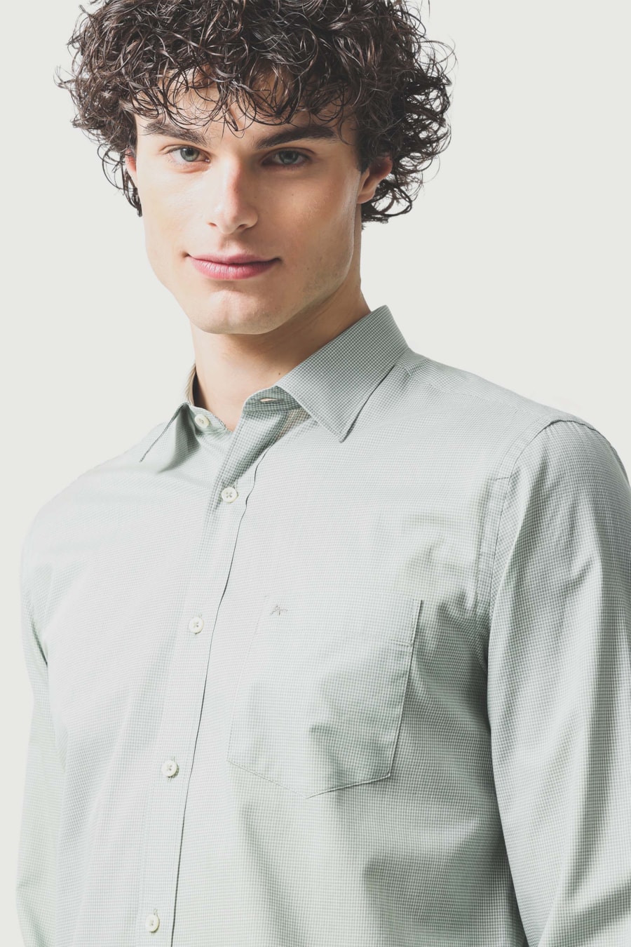 Camisa Manga Longa Regular Algodão Micro Xadrez Verde C/ Branco — foto 3 de 6