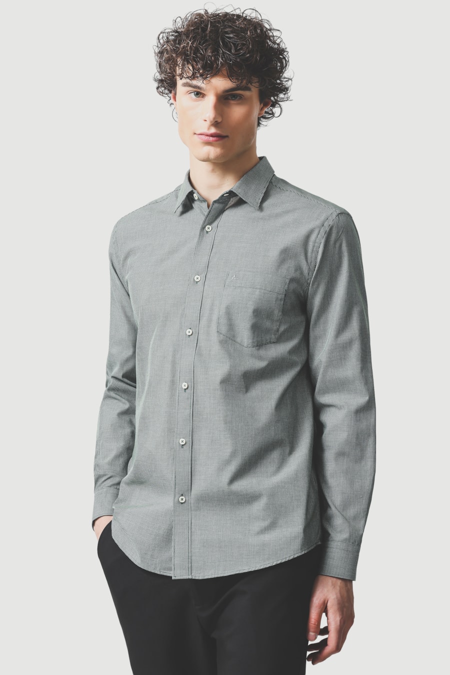Camisa Manga Longa Regular Algodão Micro Xadrez Verde Escuro C/ Branco — foto 1 de 6