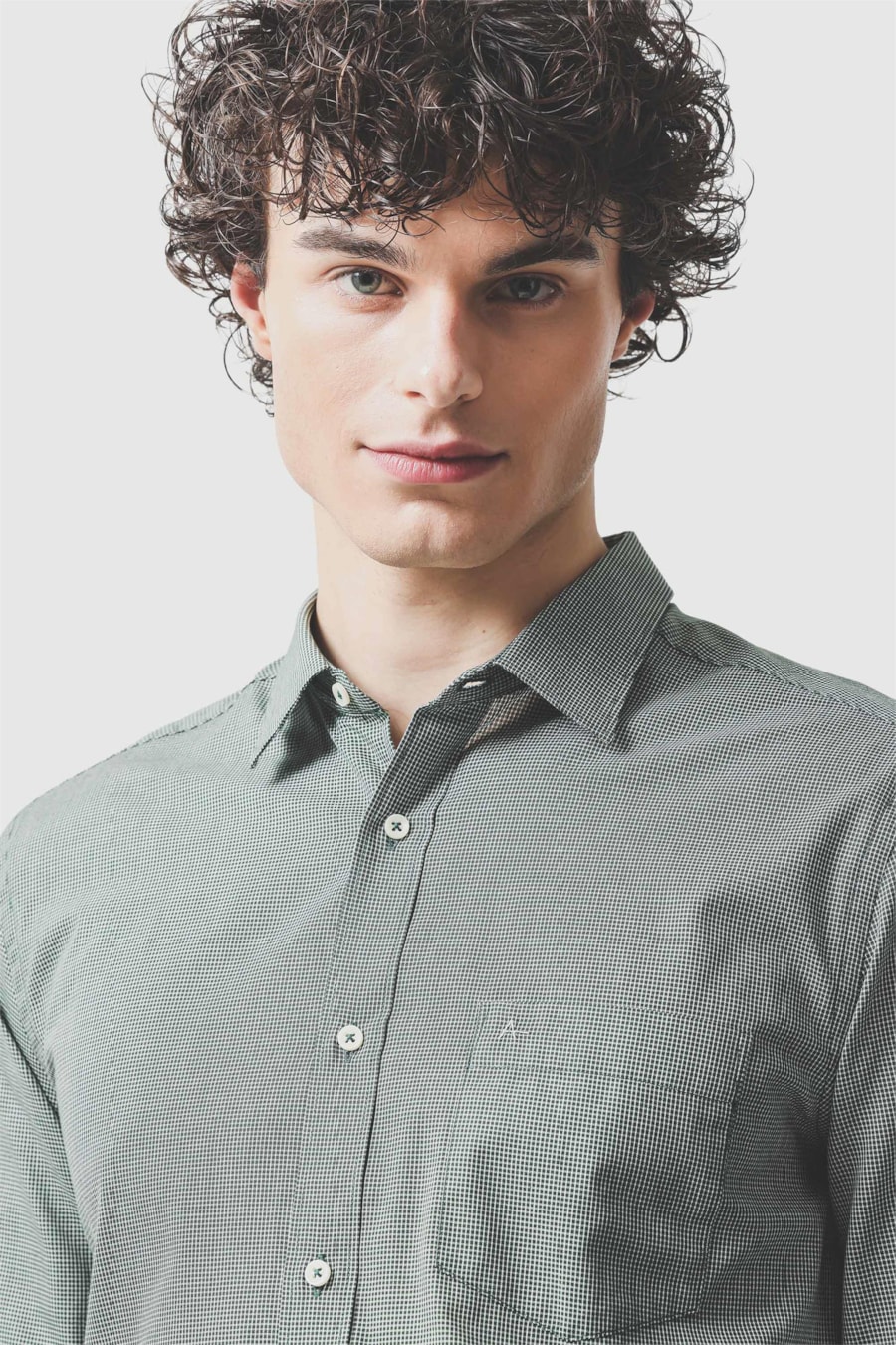 Camisa Manga Longa Regular Algodão Micro Xadrez Verde Escuro C/ Branco — foto 3 de 6