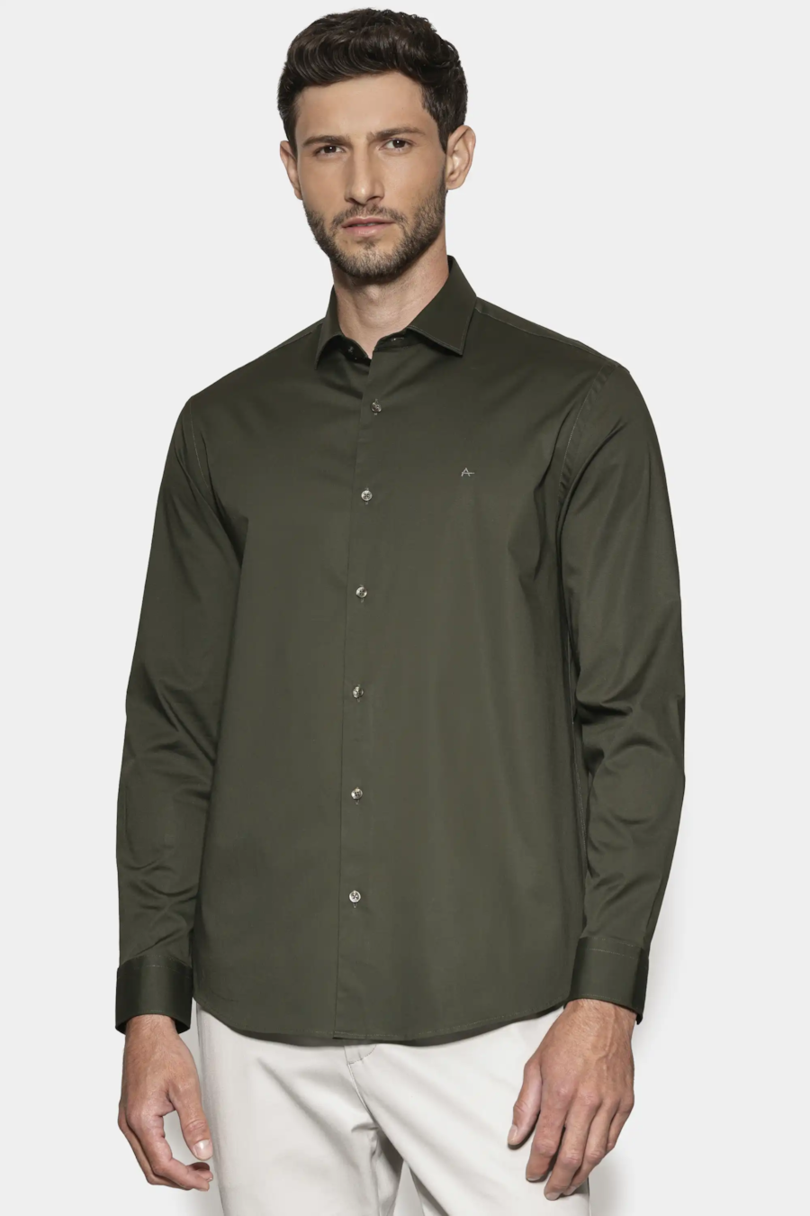 Camisa Manga Longa Regular Stretch Liso Verde Escuro — foto 1 de 6