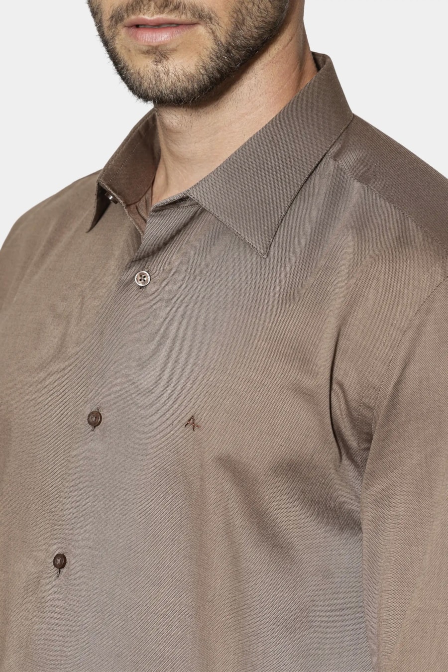 Camisa Regular Algodão Egípcio Fio 50 Castor — foto 3 de 7