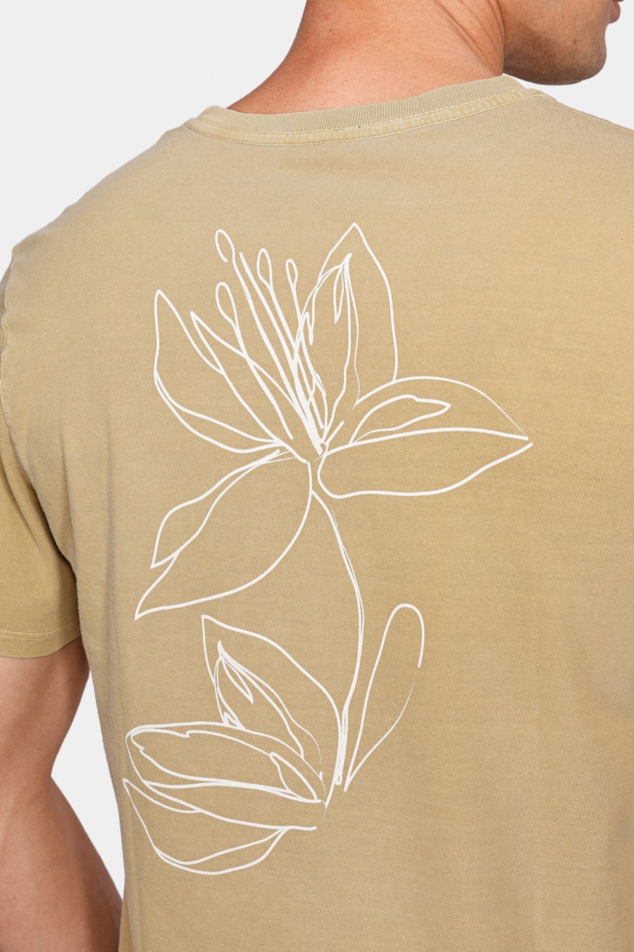 Camiseta Aramis Lírio Cáqui Cana de Açucar — foto 4 de 5