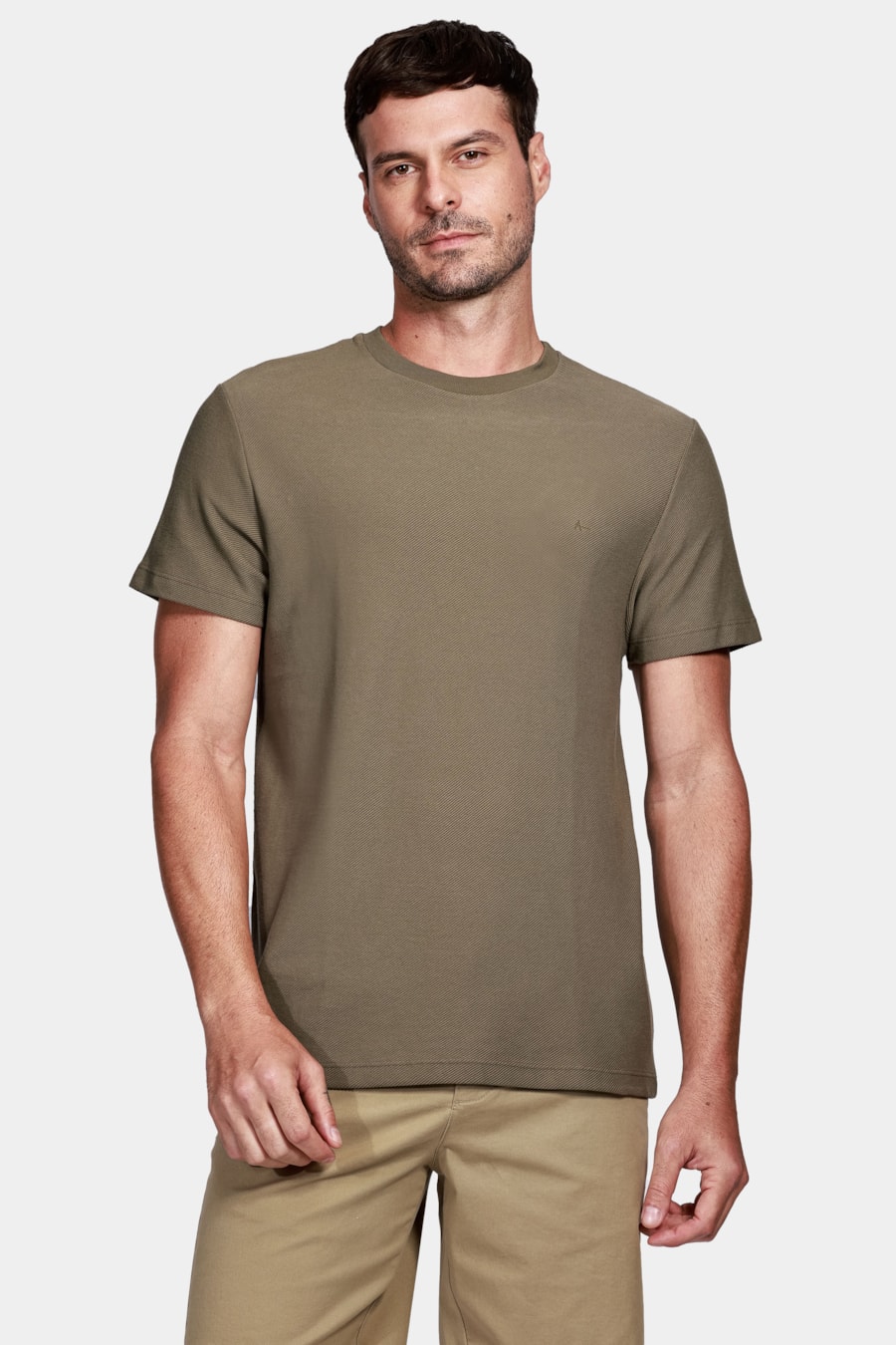 Camiseta Aramis Malha Sarjada Verde Folha Seca — foto 1 de 4