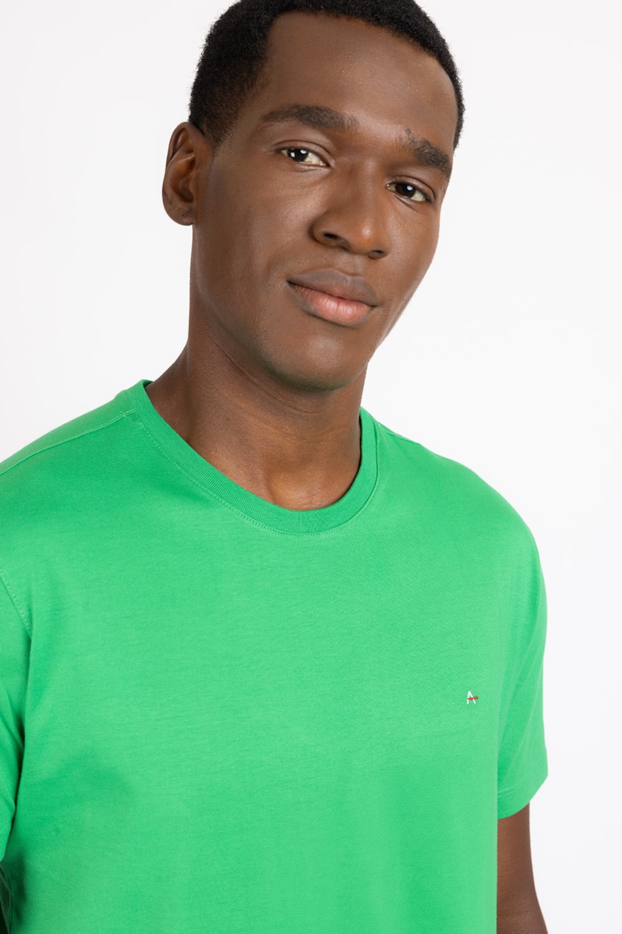 Camiseta Básica Malha Regular Cacto — foto 1 de 2
