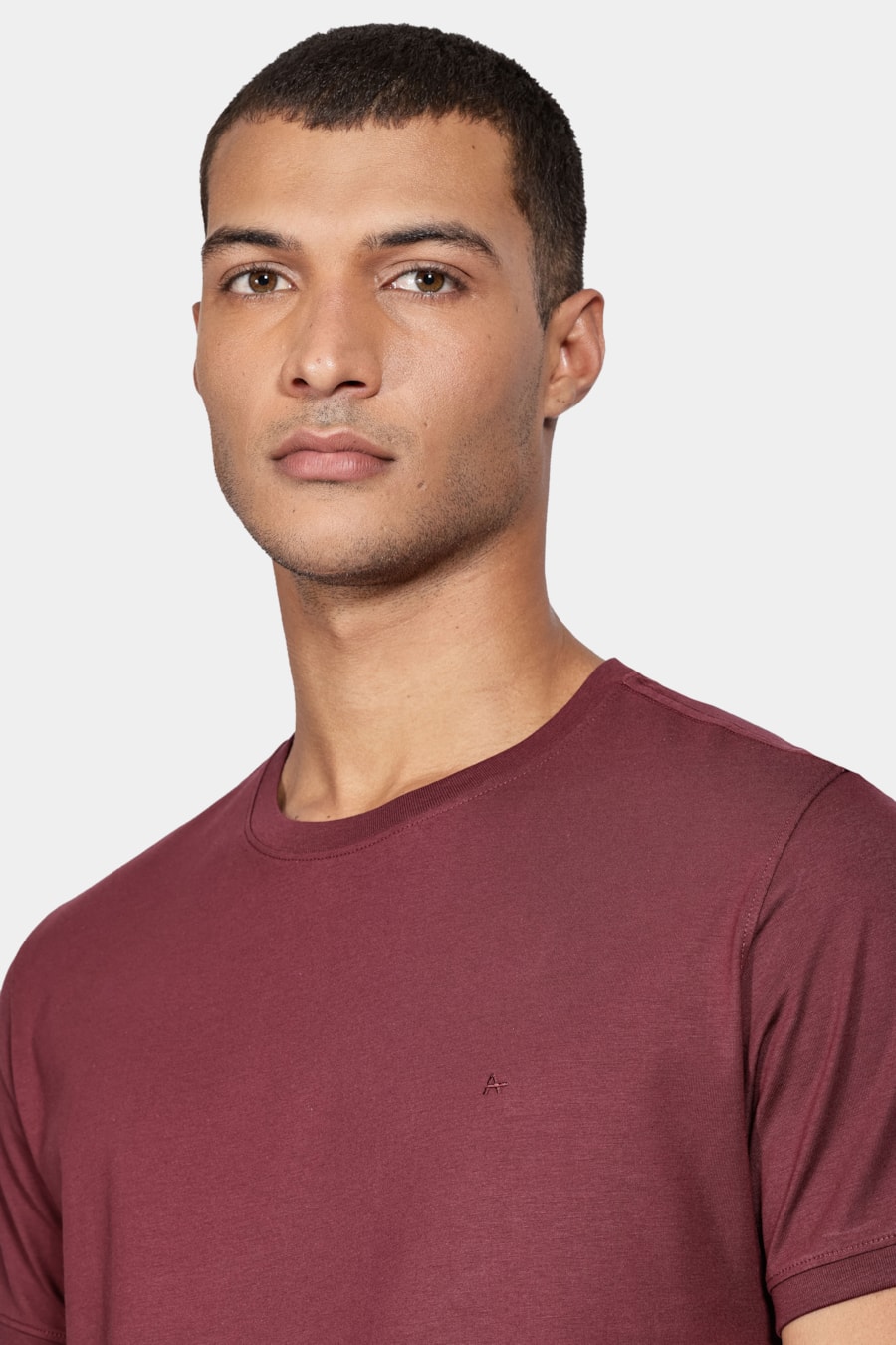 Camiseta Gola Careca de Algodão Pima Bordo Cabernet — foto 3 de 5