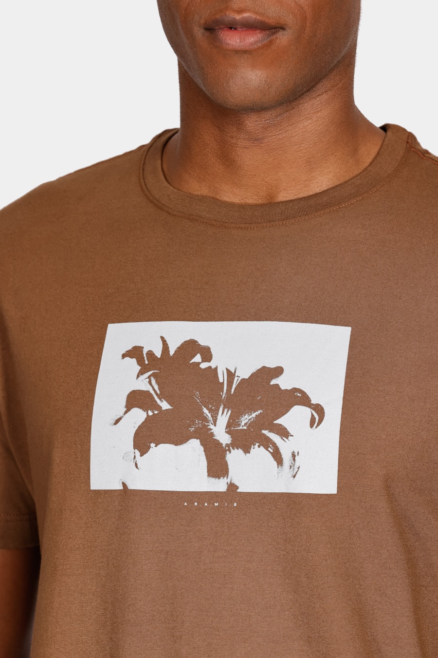 Camiseta Lírio Com Estampa Fotografia Cáqui Mascavo — foto 3 de 4