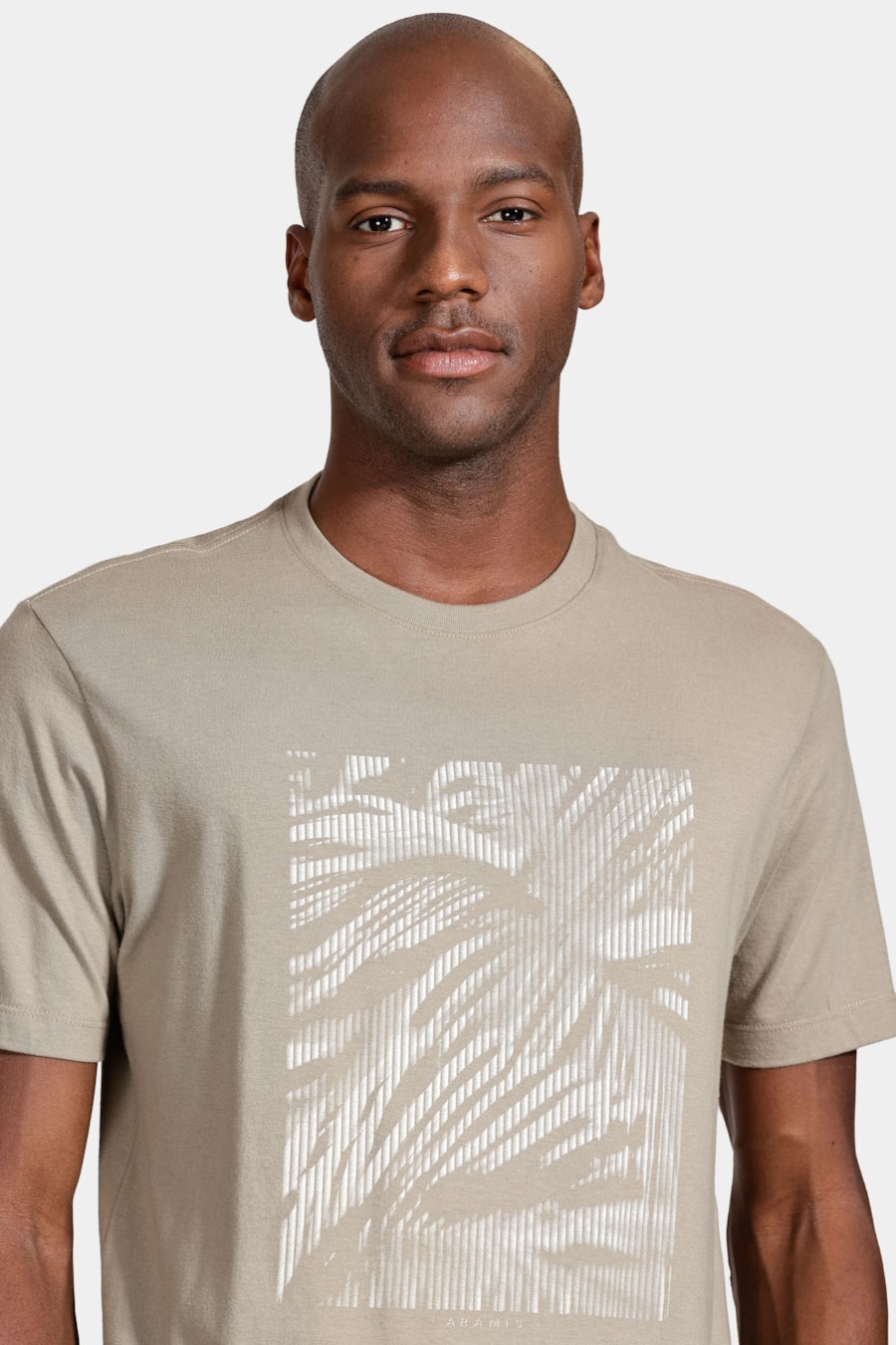 Camiseta Manga Curta Algodão Estampa Folhagens Fendi 116 — foto 3 de 5