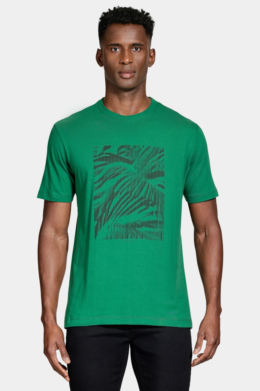 Camiseta Manga Curta Algodão Estampa Folhagens Verde Amazonia 114 — foto 1 de 5