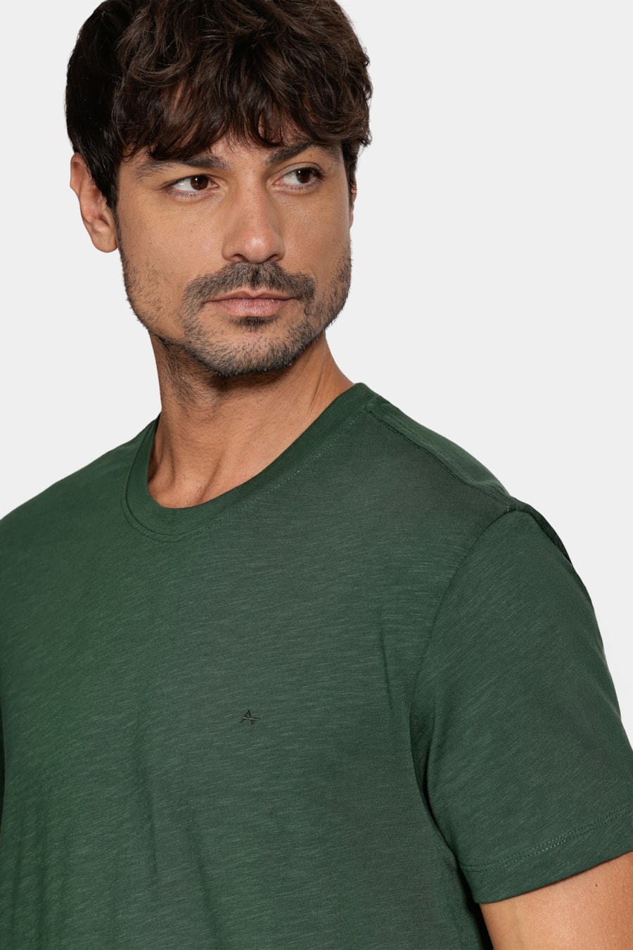 Camiseta Manga Curta Algodão Flamê Verde Intenso 117 — foto 3 de 6