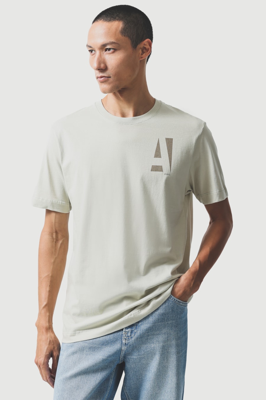 Camiseta Manga Curta Aramis Estampa a Clássico Pistache Claro 118 — foto 1 de 5
