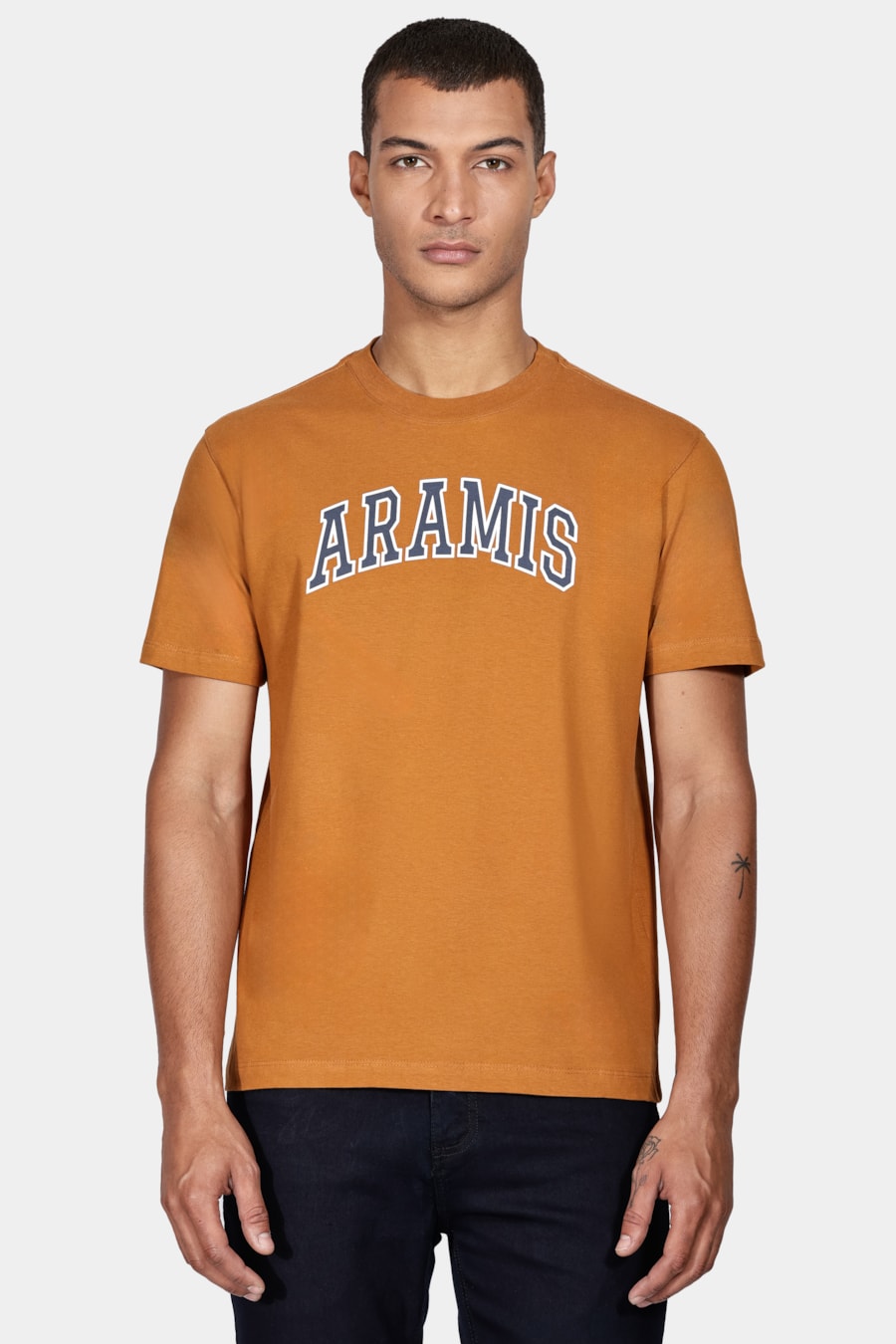 Camiseta Manga Curta Aramis New College Ambar — foto 1 de 5