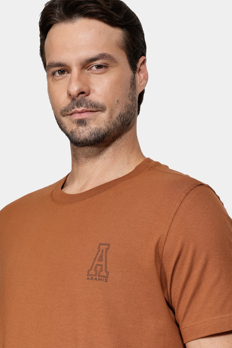 Camiseta Manga Curta Aramis Preppy Caramelo — foto 3 de 5