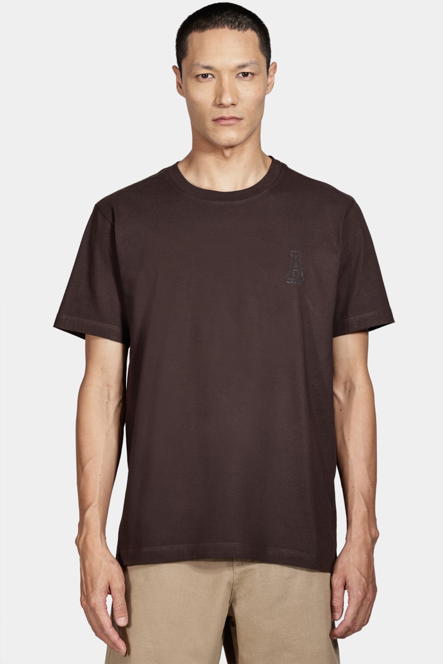 Camiseta Manga Curta Aramis Preppy Marrom Café — foto 1 de 5
