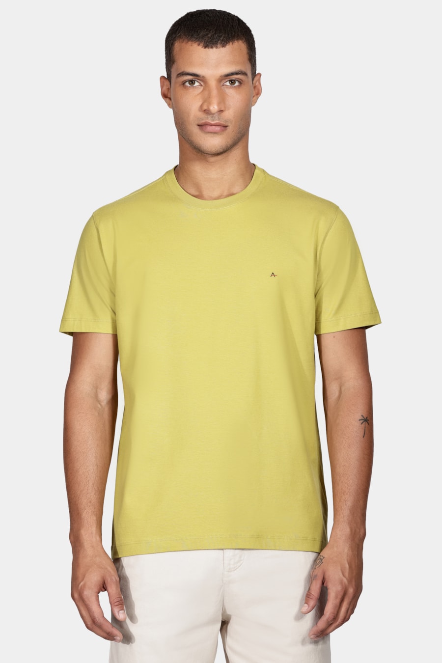 Camiseta Manga Curta Básica Verde Alga — foto 1 de 6