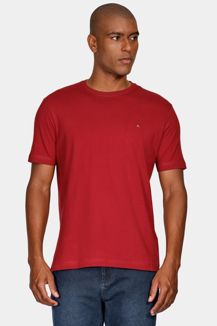 Camiseta Manga Curta Bordado Bordeaux — foto 1 de 5