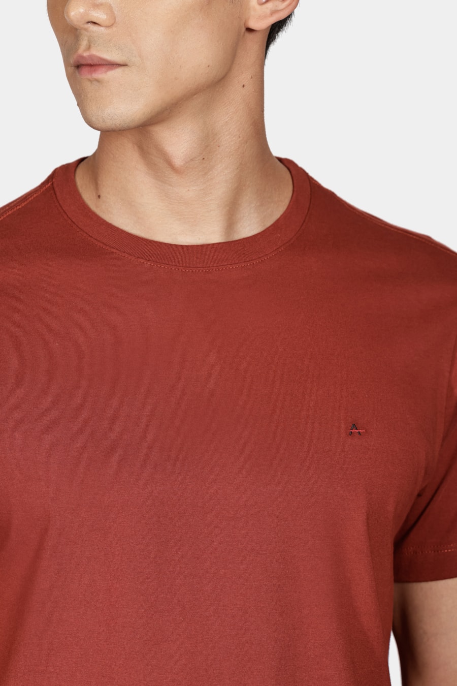 Camiseta Manga Curta Bordado Tijolo — foto 3 de 5