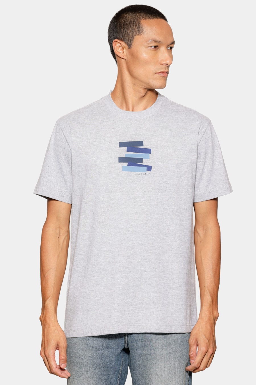 Camiseta Manga Curta Estampa Faixas Cinza Mescla — foto 1 de 5