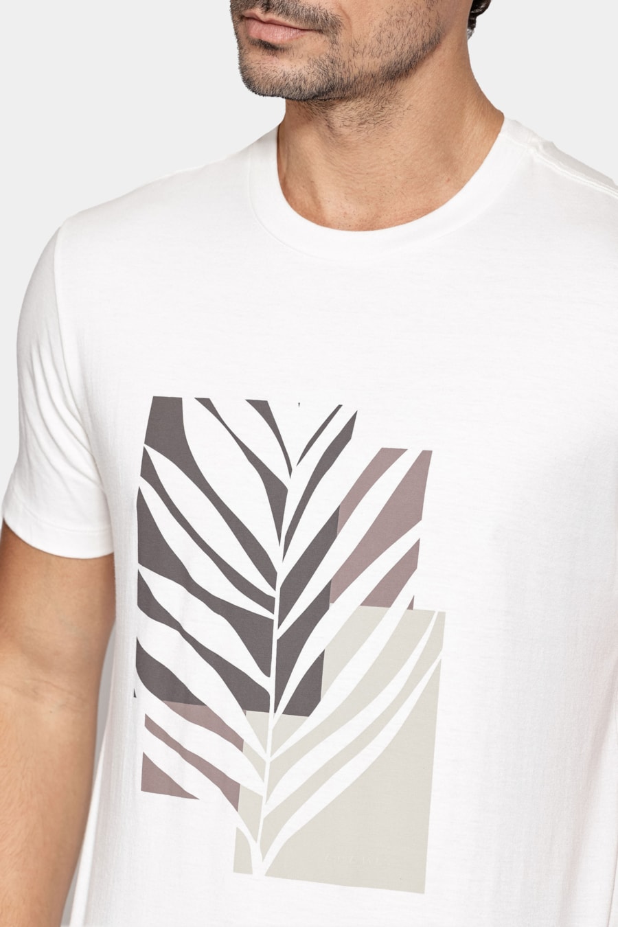 Camiseta Manga Curta Estampa Folhagem Off White — foto 3 de 5