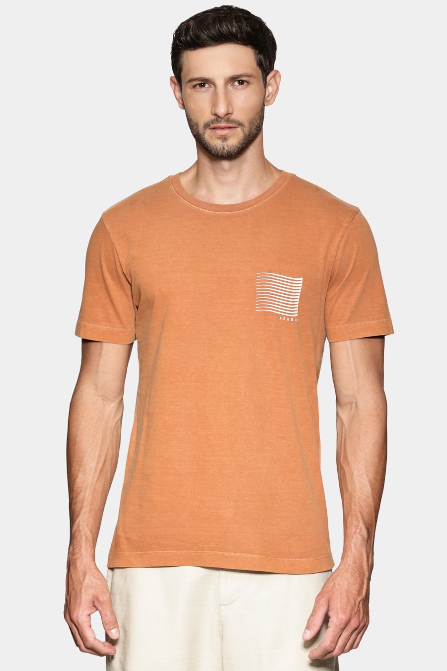 Camiseta Manga Curta Estampa Gráfica Ferrugem 117 — foto 1 de 6