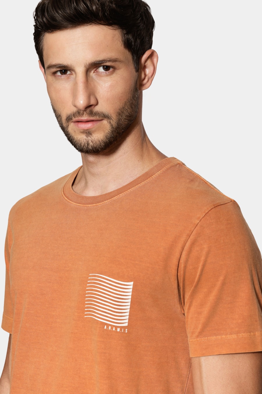 Camiseta Manga Curta Estampa Gráfica Ferrugem 117 — foto 3 de 6