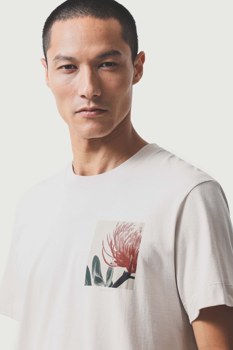 Camiseta Manga Curta Estampa Protea Areia 118 — foto 3 de 5