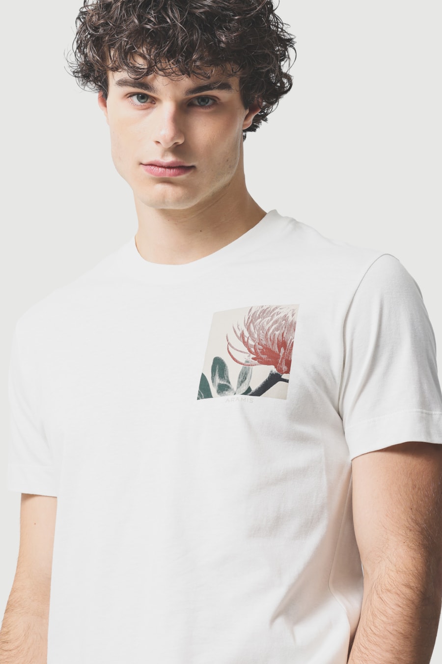 Camiseta Manga Curta Estampa Protea Off White — foto 3 de 5