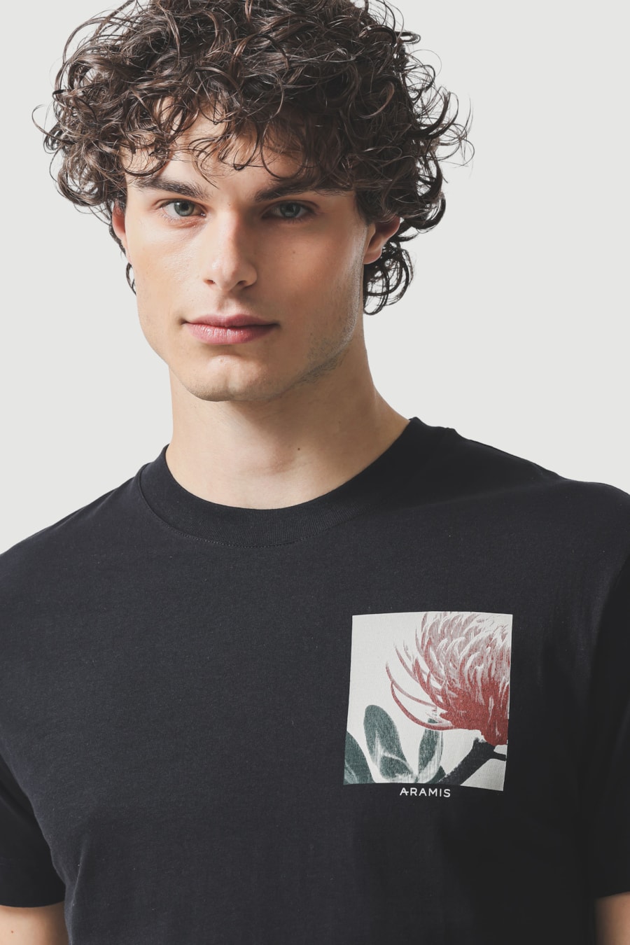 Camiseta Manga Curta Estampa Protea Preto — foto 3 de 5