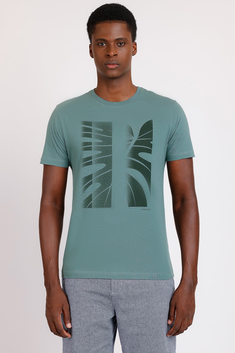 Camiseta Manga Curta Folha Degradê Verde — foto 1 de 4