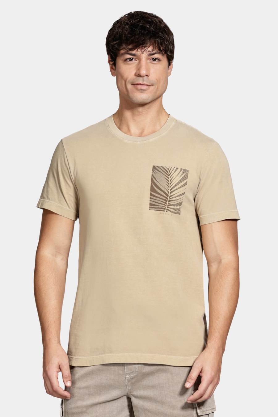 Camiseta Manga Curta Folha Listra Fendi 116 — foto 1 de 5