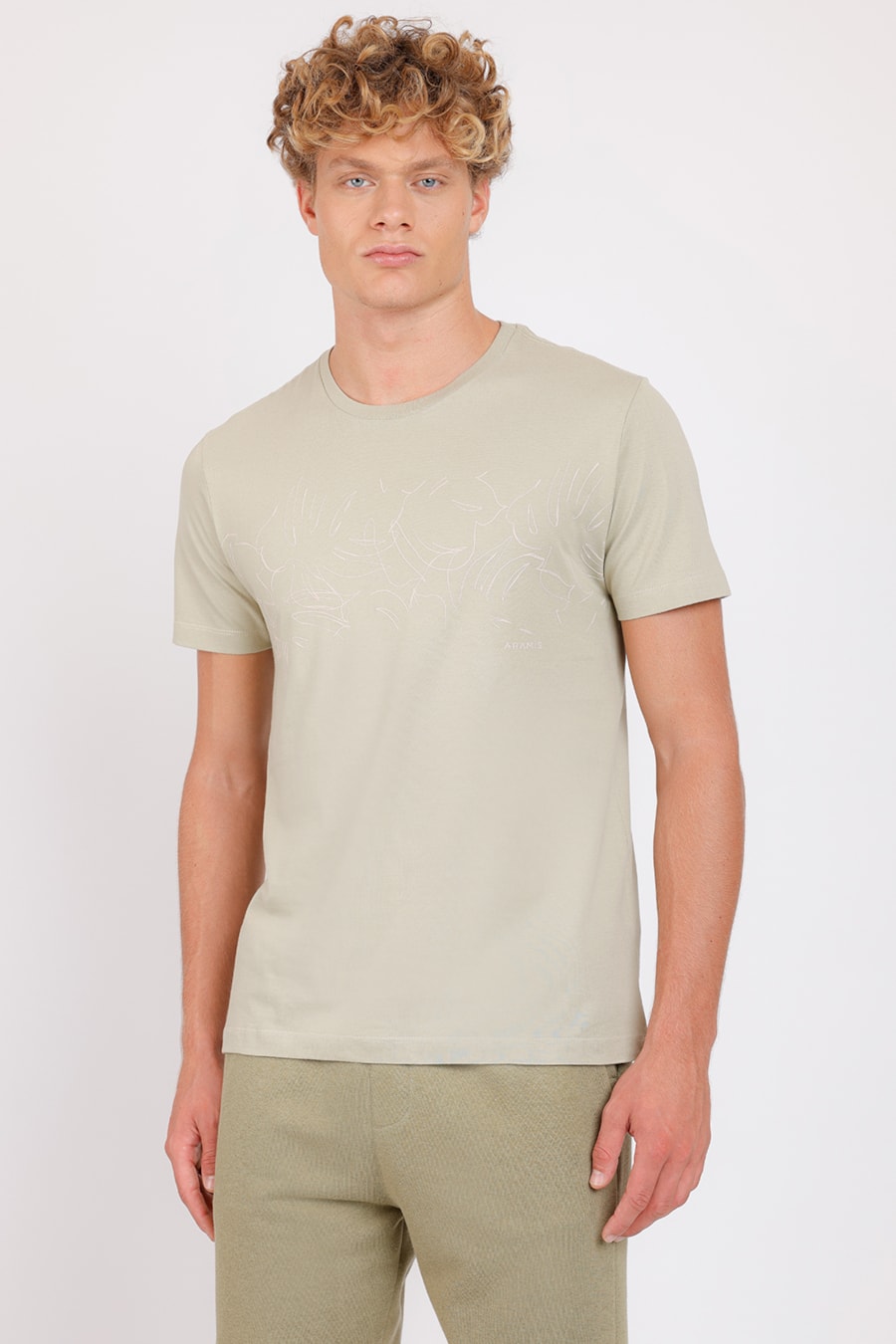 Camiseta Manga Curta Folhagens Verde — foto 1 de 4