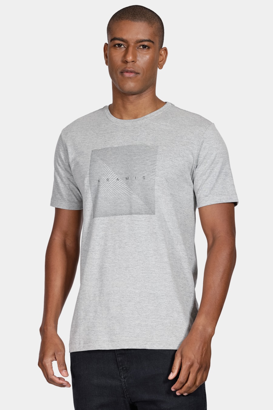 Camiseta Manga Curta Formas Aramis Cinza Mescla — foto 1 de 7