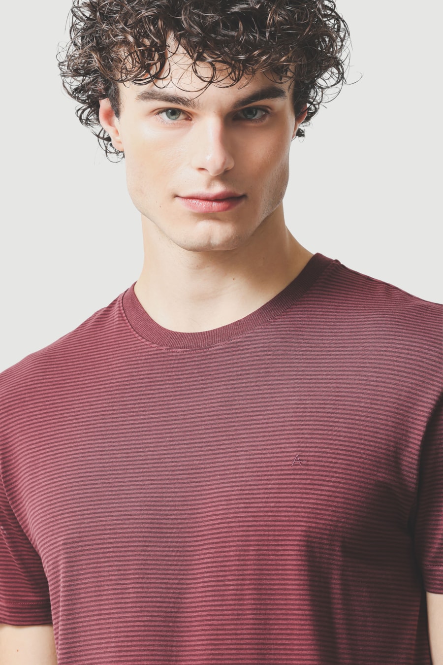 Camiseta Manga Curta Listrada em Modal Burgundy 118 — foto 3 de 5