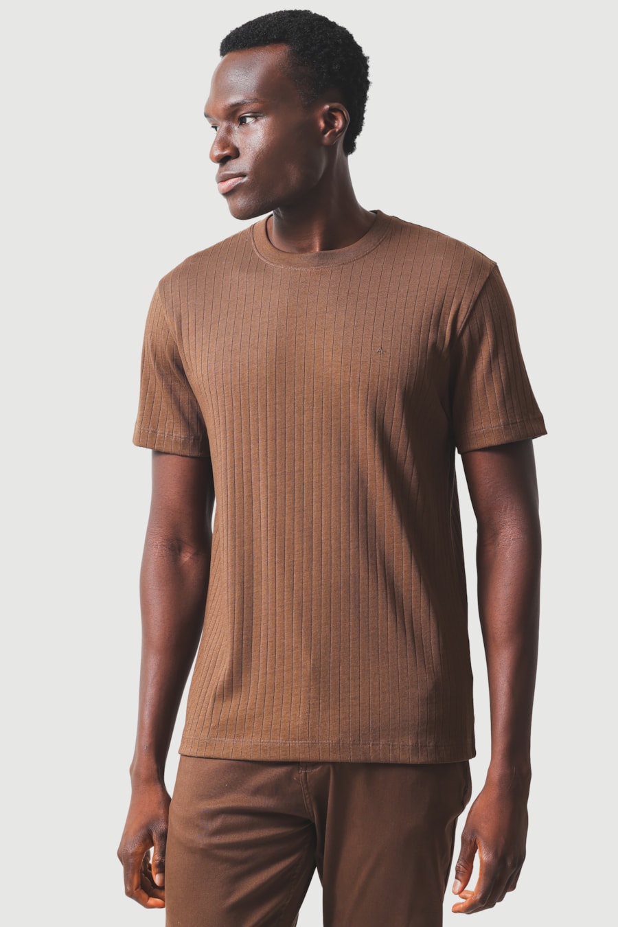 Camiseta Manga Curta Rib em Algodão Cacau 118 — foto 1 de 6