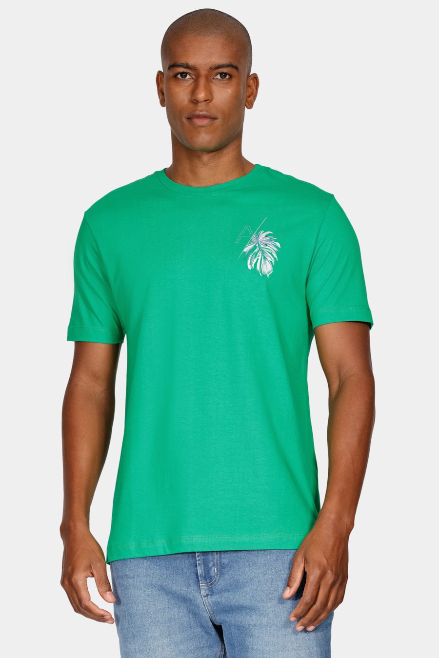 Camiseta Regular Com Estampa Monstera Cacto — foto 1 de 4