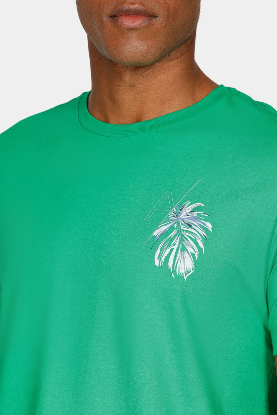 Camiseta Regular Com Estampa Monstera Cacto — foto 3 de 4