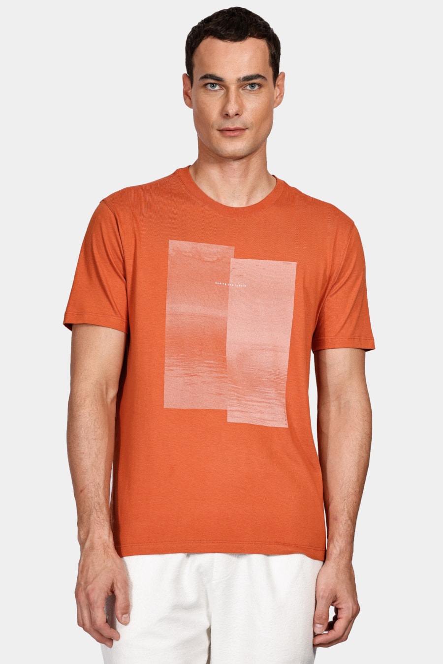 Camiseta Regular Fotografia Laranja Ferrugem — foto 1 de 4