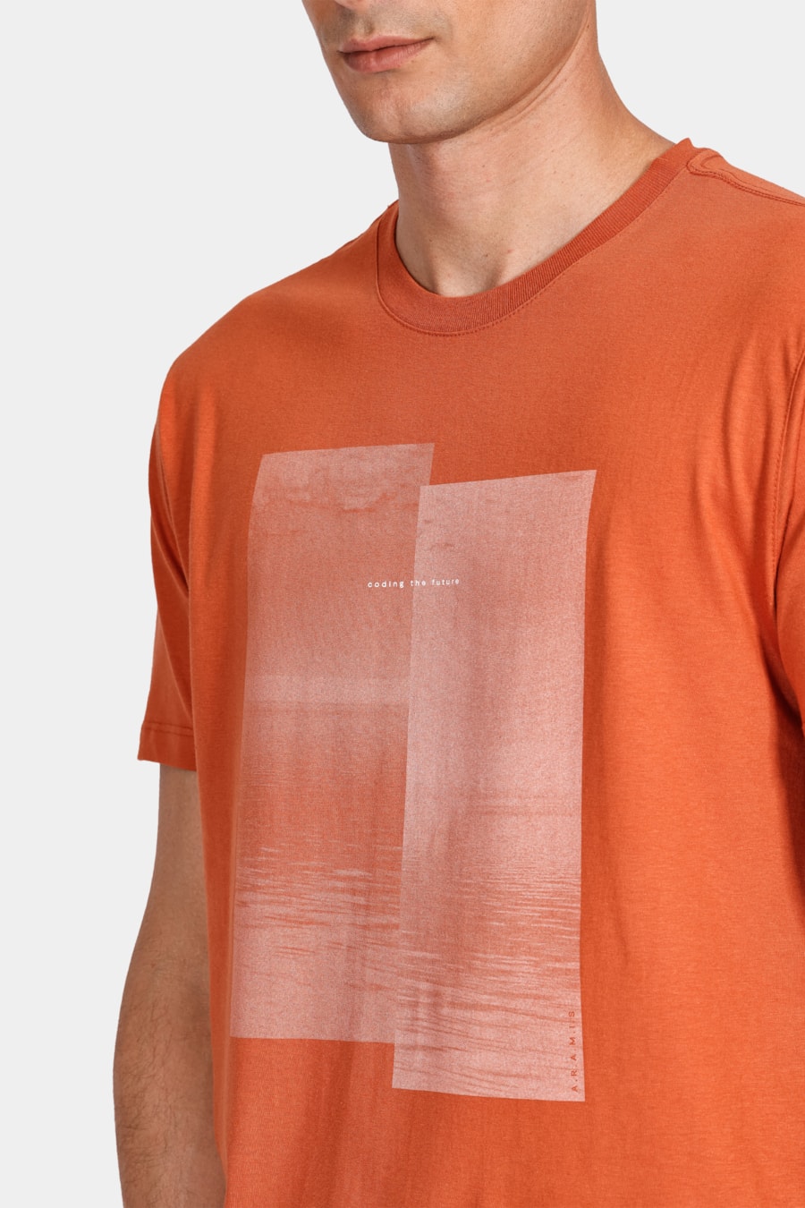 Camiseta Regular Fotografia Laranja Ferrugem — foto 3 de 4