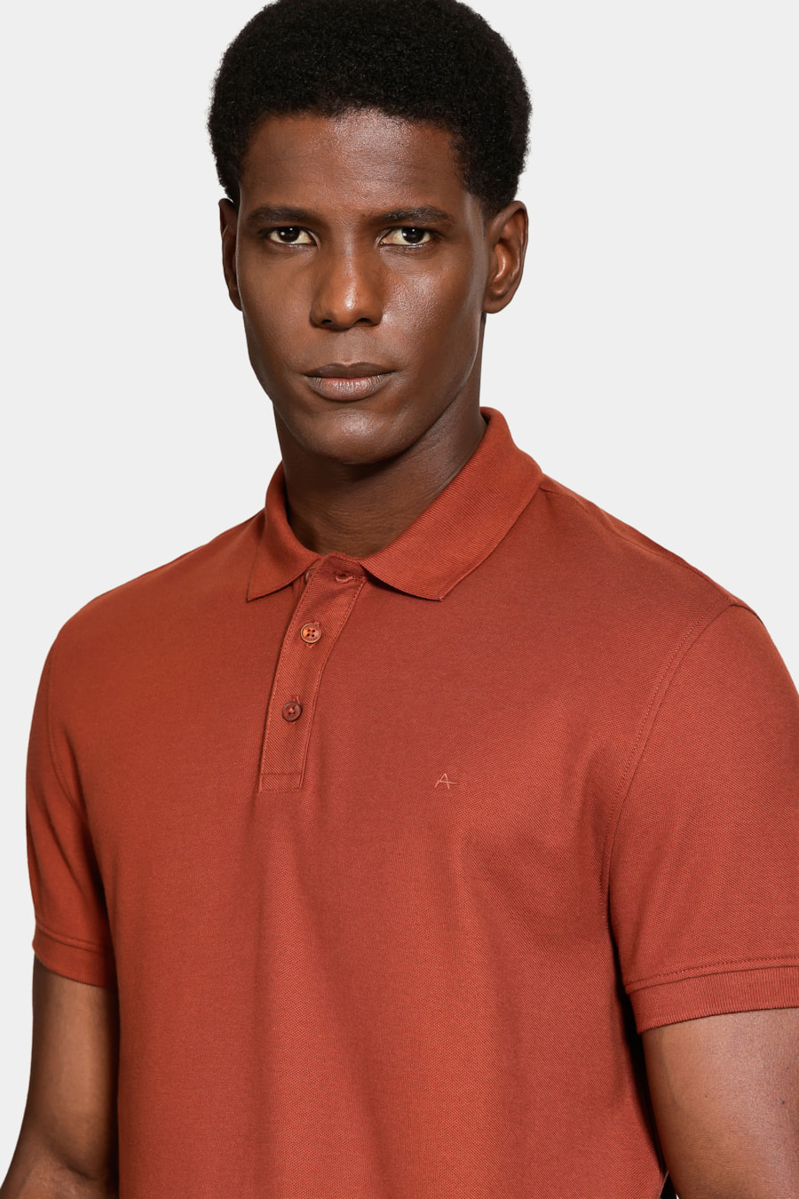Polo Manga Curta Cotton Piquet Basic Tijolo — foto 3 de 5